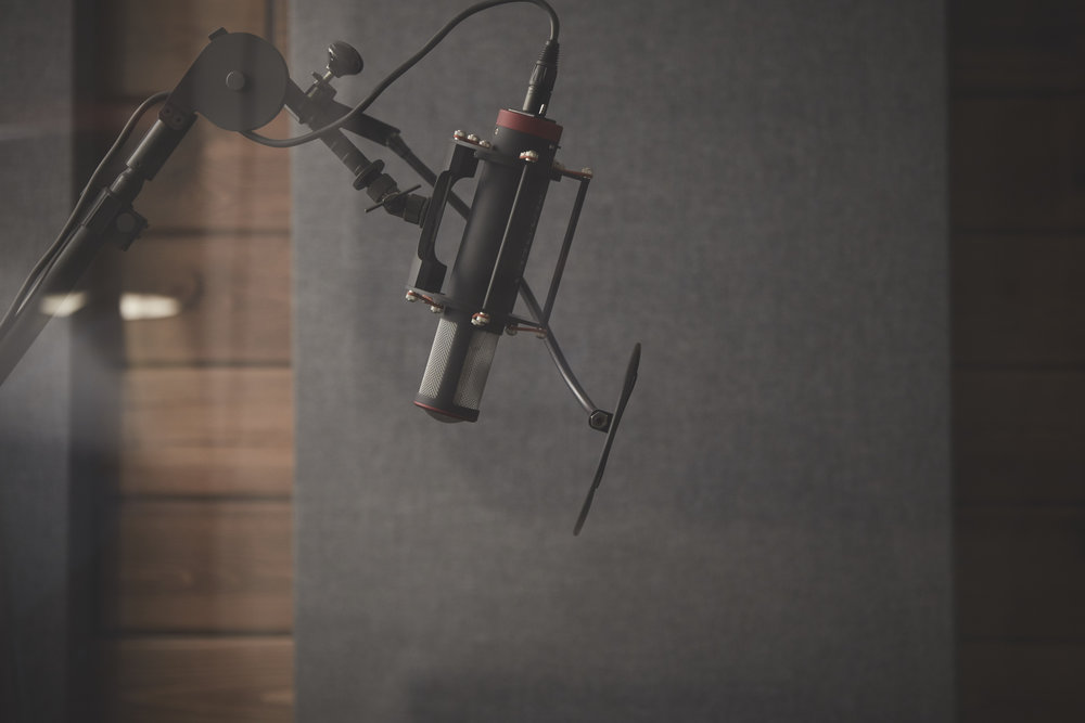 270 - Day 3 - King Sound Studio - Alta View - 30406 - BRS.JPG